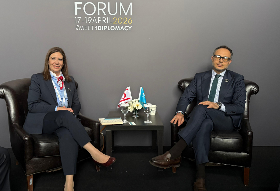 TÜRKPA Baş katibi Şimali Kiprin Cümhuriyyətçi Türk Partiyasının sədri ilə görüşüb